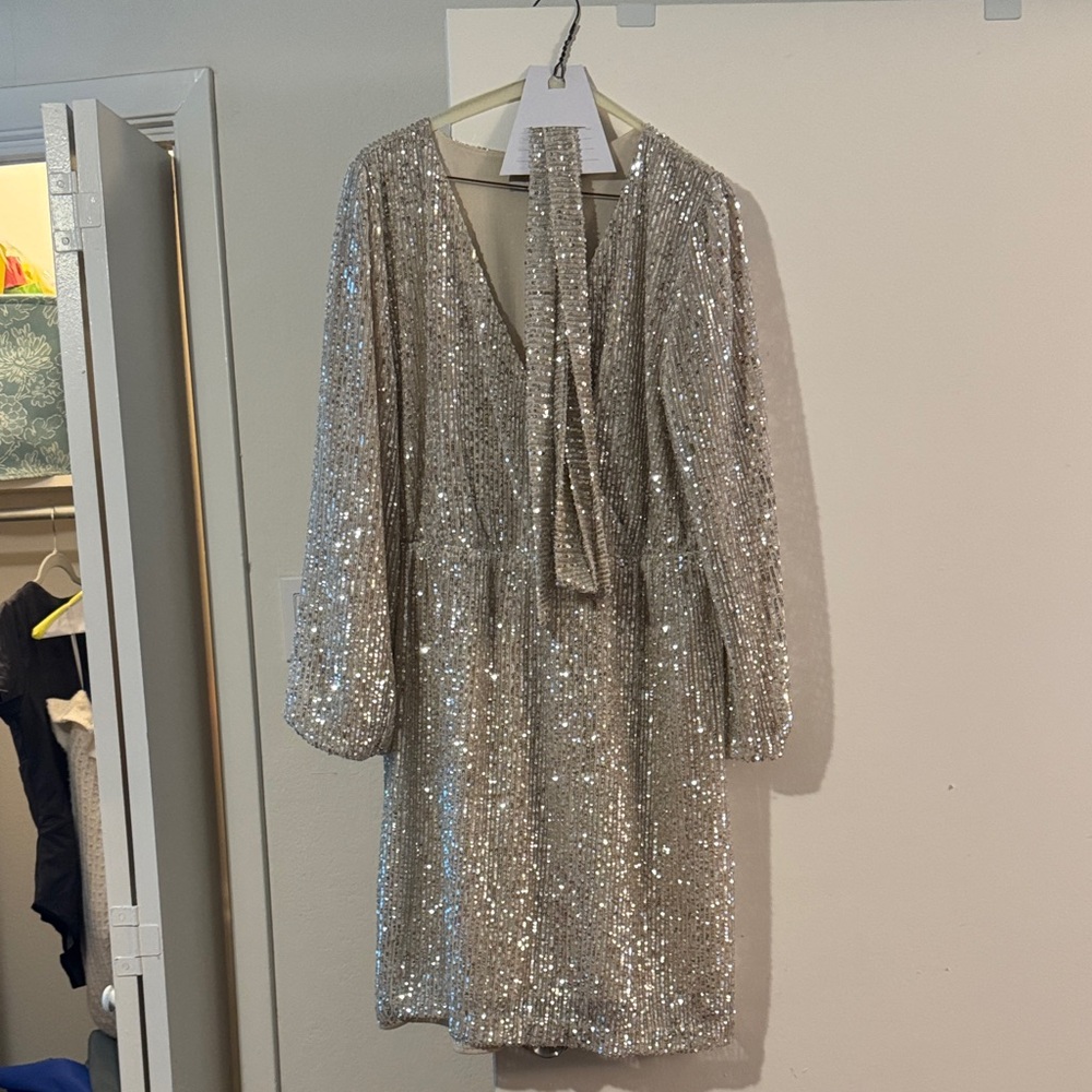 LOFT Silver Sequin Long Sleeve Dress